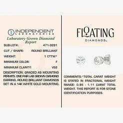 Floating Diamonds (F / Vs2) 1 CT. T.W. Lab Grown White Diamond 14K Gold 5.4mm Round Stud Earrings