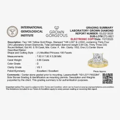 Grown Gorgeous (F, Vs2) Womens 3 5/8 Ct. T.W. Lab Grown White Diamond 14K Gold or Platinum Princess-cut Side Stone Bridal Set