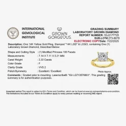 Grown Gorgeous (F, Vs2) Womens 2 1/4 CT. T.W. Lab Grown White Diamond 14K Gold or Platinum Princess-cut Solitaire Engagement Ring