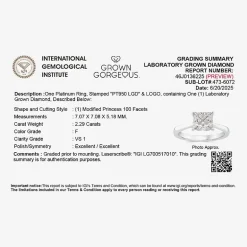 Grown Gorgeous (F, Vs2) Womens 2 1/4 CT. T.W. Lab Grown White Diamond 14K Gold or Platinum Princess-cut Solitaire Engagement Ring