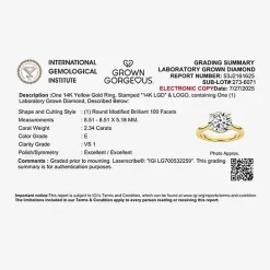 Grown Gorgeous (F,Vs2) Womens 2 1/4 CT. T.W. Lab Grown White Diamond 14K Gold or Platinum Round Solitaire Engagement Ring