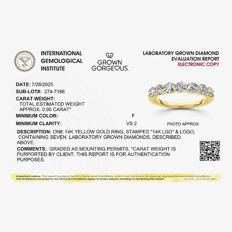Grown Gorgeous (F,Vs2) Womens 1 CT. T.W. Lab Grown White Diamond 14K Gold or Platinum Wedding Band