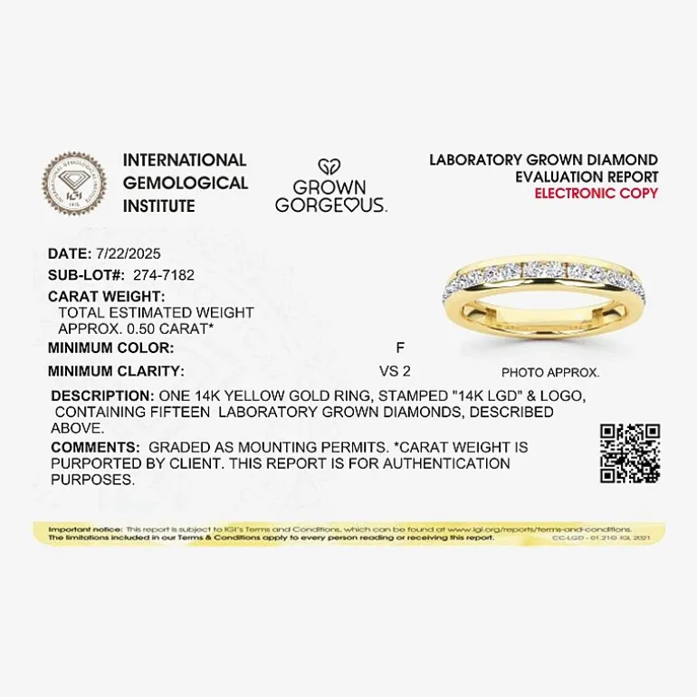 Grown Gorgeous (F, Vs2) Womens 1/2 CT. T.W. Lab Grown White Diamond 14K Gold or Platinum Anniversary Wedding Band