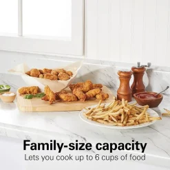 Hamilton Beach Professional 8 Cup Deep Fryer