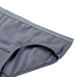 Hanes Big Kid Girls 10 Pack Hipster Panty Gucsh1