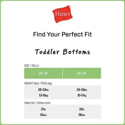 Hanes Potty Trainer Toddler Boys 6 Pack Briefs Tublbr