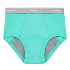 Hanes Potty Trainer Toddler Boys 6 Pack Briefs Tublbr
