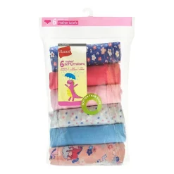 Hanes Potty Trainer Toddler Girls 6 Pack Briefs Tguptb