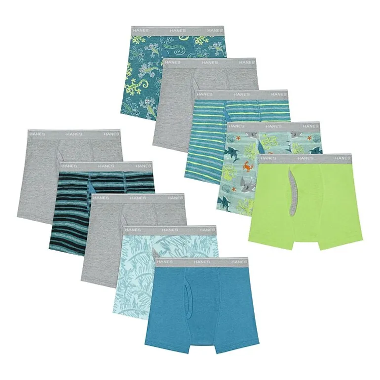 Hanes Toddler Boys 10 Pack Boxer Briefs Tub74p