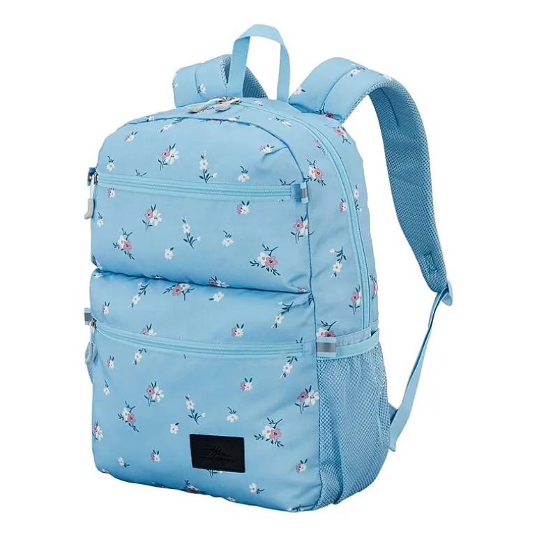 High Sierra Everclass Unisex Adult Backpack