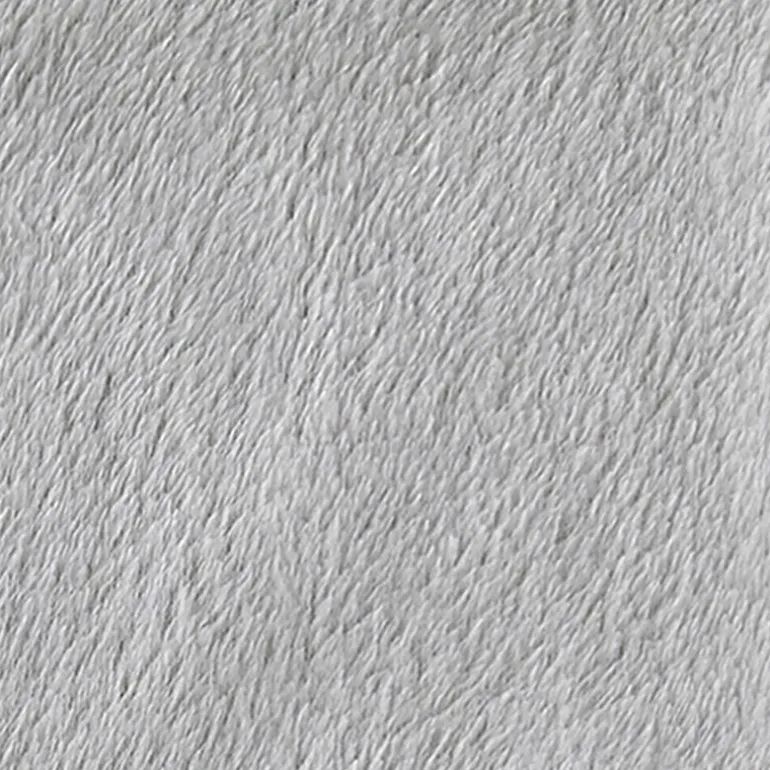 Home Expressions Velvet Plush Blanket