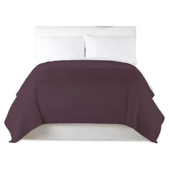 Home Expressions Velvet Plush Blanket