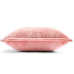 Home Expressions Velvet Plush 2-pack Square Throw Pillow