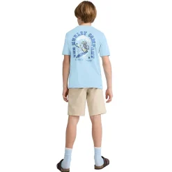 Hurley Big Kid Boys Crew Neck Short Sleeve Regular Fit Graphic T-Shirt