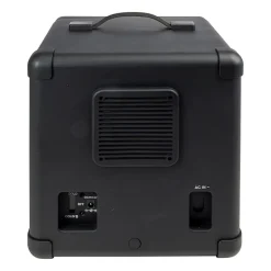 iLive Tailgate Speaker with Built-in Cooler Fridge