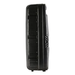 iLive Wireless Portable Speaker