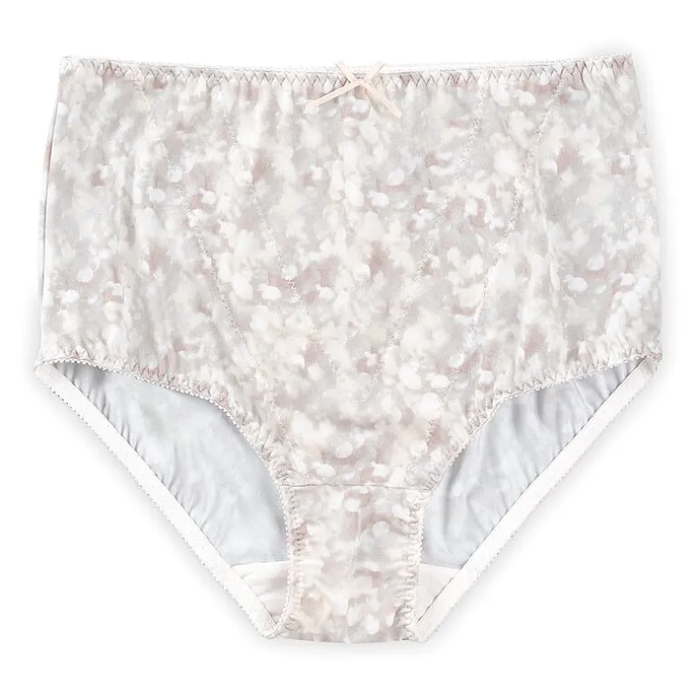 Ilusion High Waist Smoothing Brief- 2155