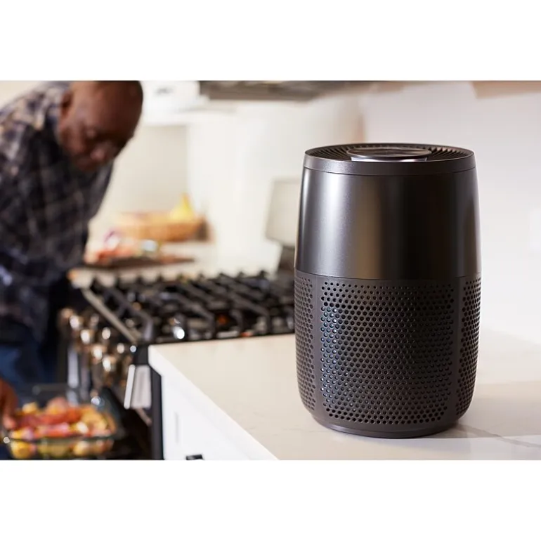 Instant® AP100 Home Purification System