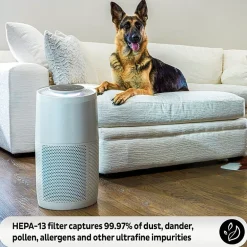 Instant® AP300 Home Purification System
