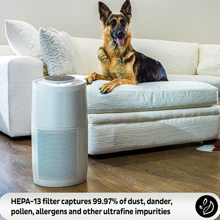 Instant® AP300 Home Purification System