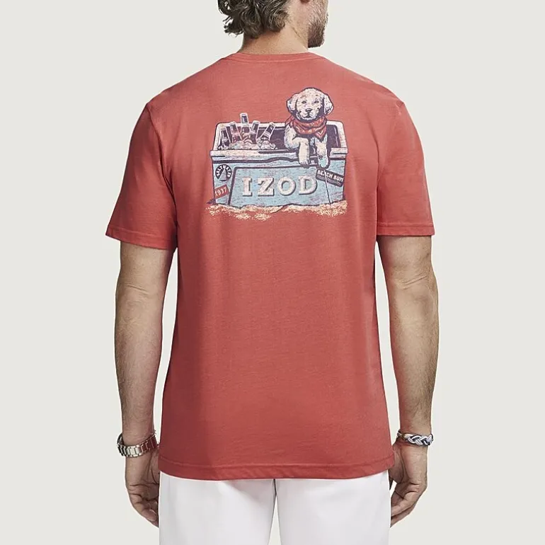 IZOD Saltwater Soft Wash Mens Crew Neck Short Sleeve Classic Fit Graphic T-Shirt