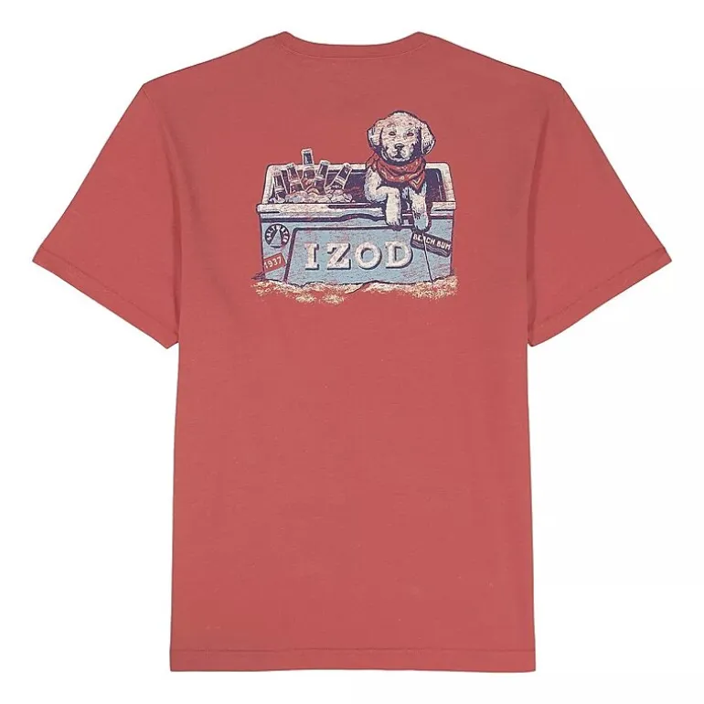 IZOD Saltwater Soft Wash Mens Crew Neck Short Sleeve Classic Fit Graphic T-Shirt