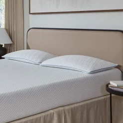 La-Z-Boy Serene Foam Density Pillow Traditional/ Soft-Medium, Queen