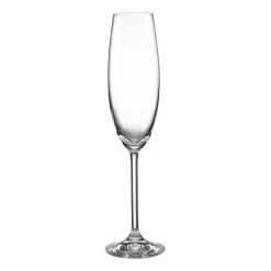 Lenox Tuscany Classics 6-pc. Champagne Flute