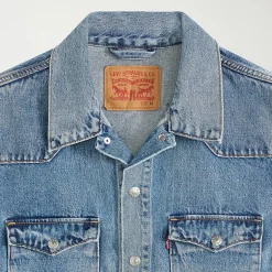 Levi's® Mens Denim Trucker Jacket