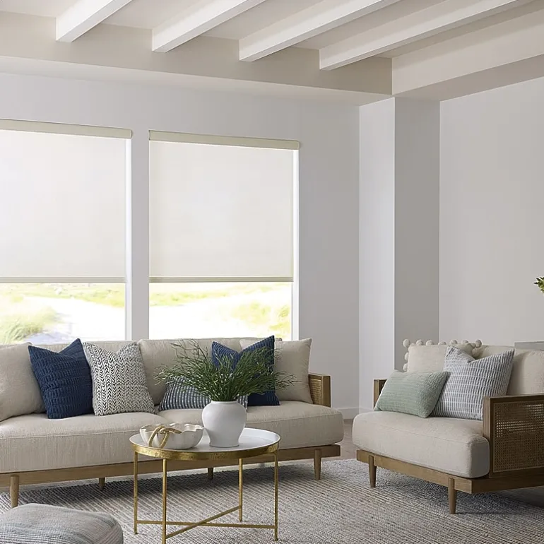 LEVOLOR Finnley Custom Cordless Blackout Roller Shade