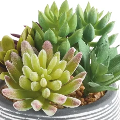 Linden Street 6in Mixed Succulent Artificial Plant