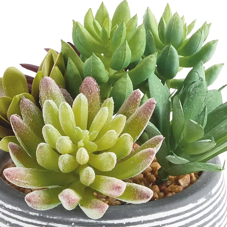 Linden Street 6in Mixed Succulent Artificial Plant