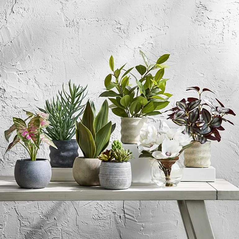 Linden Street 6in Mixed Succulent Artificial Plant