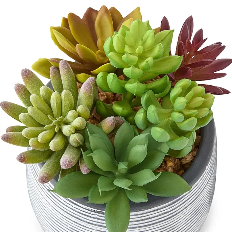 Linden Street 6in Mixed Succulent Artificial Plant