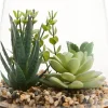 Linden Street 7in Mixed Succulent Terrarium Artificial Plant