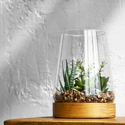 Linden Street 7in Mixed Succulent Terrarium Artificial Plant