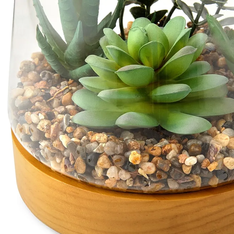Linden Street 7in Mixed Succulent Terrarium Artificial Plant