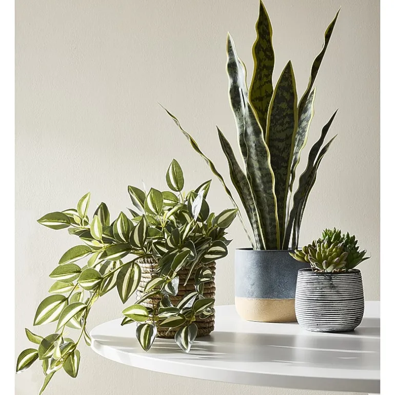 Linden Street 8in Tradescantia Trailing Artificial Plant