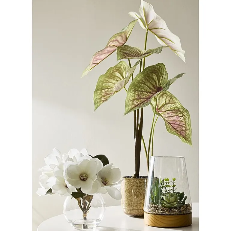 Linden Street 8in White Magnolia Artificial Plant