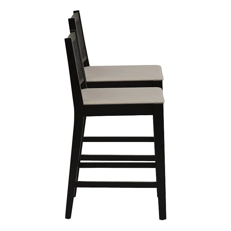 Linon Beymer 1 Pair Counter Height Bar Stool