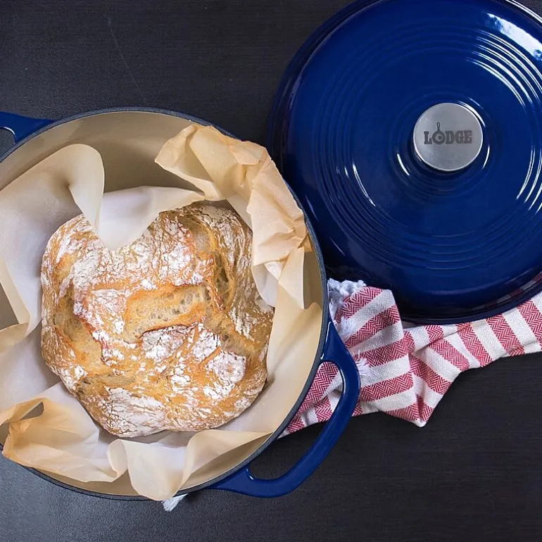 Lodge Cookware 6 Qt Enameled Cast Iron Dutch Oven