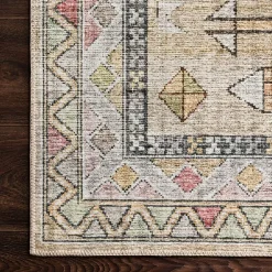 Loloi Skye Indoor Rectangular Accent Rug