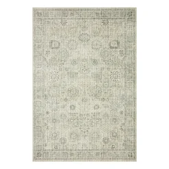 Loloi Skye Indoor Rectangular Accent Rug