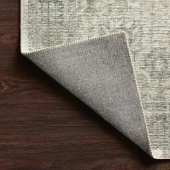 Loloi Skye Indoor Rectangular Accent Rug