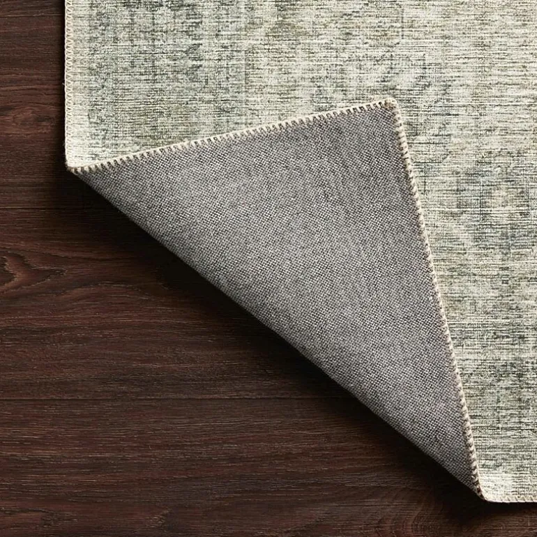 Loloi Skye Indoor Rectangular Accent Rug