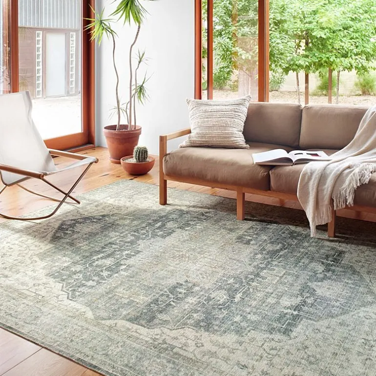 Loloi Skye Indoor Rectangular Accent Rug
