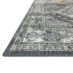 Loloi Skye Indoor Rectangular Accent Rug