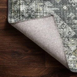 Loloi Skye Indoor Rectangular Accent Rug