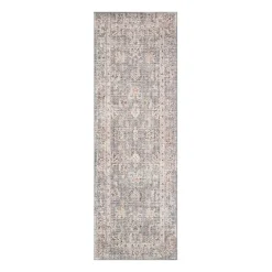 Loloi Skye Indoor Rectangular Accent Rug