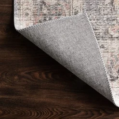 Loloi Skye Indoor Rectangular Accent Rug